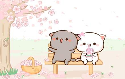 Peach & Goma Wallpapers